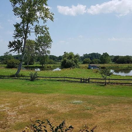 Gite 4Kms Plage Grand Domaine Prive Lacs Natura 2000 Lit-et-Mixe Exterior photo
